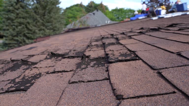 Best Metal Roofing Installation  in New Hope, AL